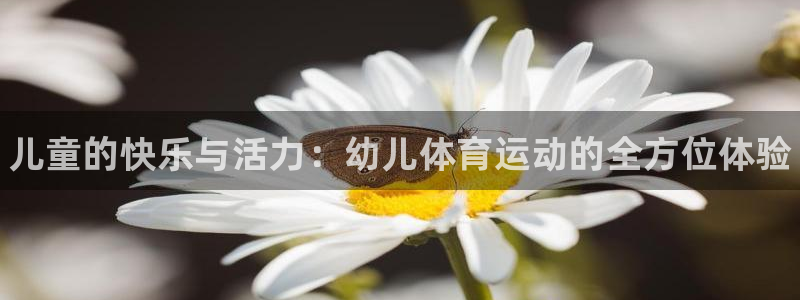 凯发官方正版app娱乐是那个系列的台子