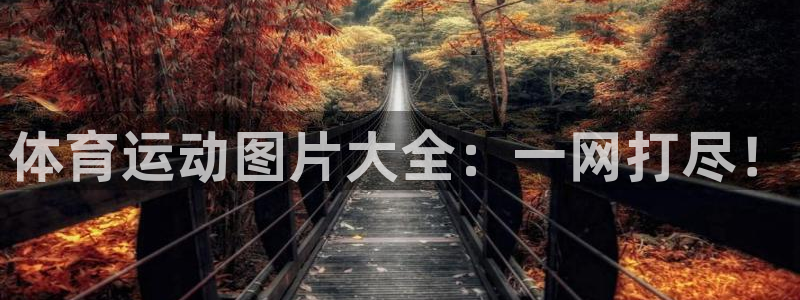 凯发官方正版app娱乐代理怎么样：体育运动图片大全：一网打尽