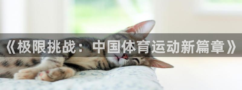 凯发官网下载招商电话是多少号码