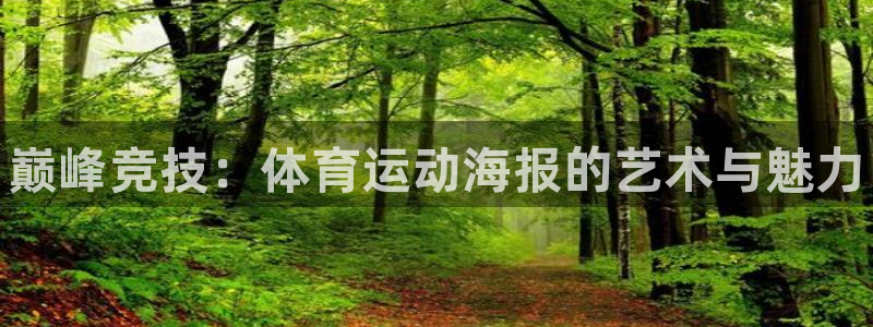 凯发官方正版app娱乐是那个系列的台子：巅峰竞技：体育运动海
