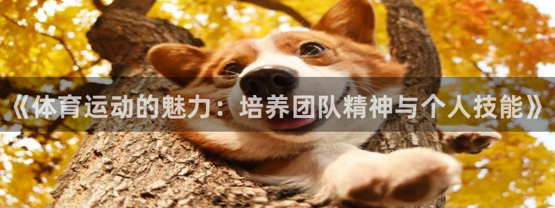 凯发官方正版app娱乐平台