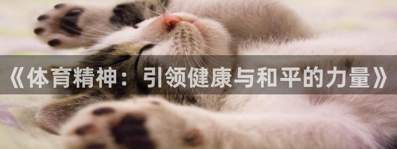 凯发官方正版app代理