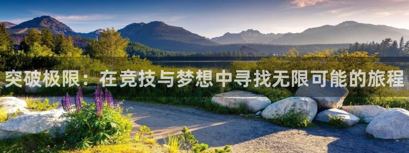 凯发官网下载平台：突破极限：在竞技与梦想中寻找无限可能的旅程