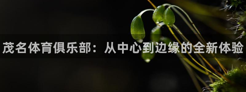 凯发官网下载招商电话地址