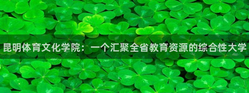 凯发官网下载平台注册要钱吗：昆明体育文化学院：一个汇聚全省教