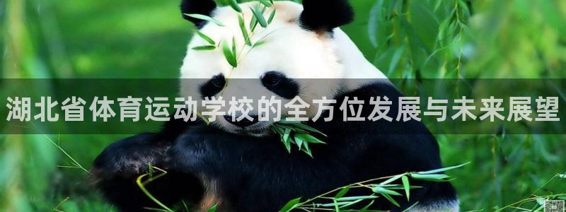 凯发官方正版app集团logo：湖北省体育运动学校的全方位发