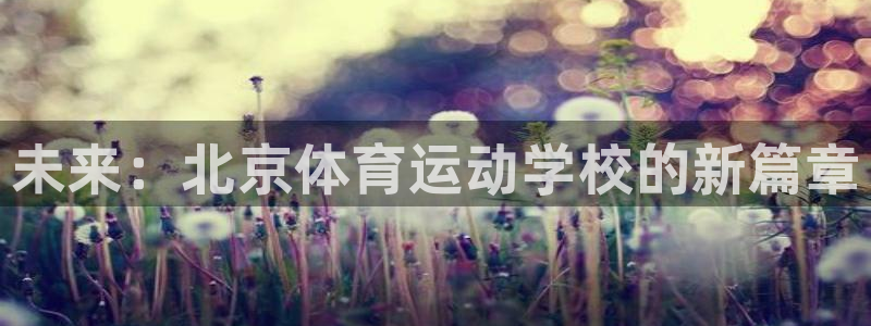 凯发官方正版app集团E.ON