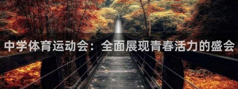 凯发官方平台体育：中学体育运动会：全面展现青春活力的盛会