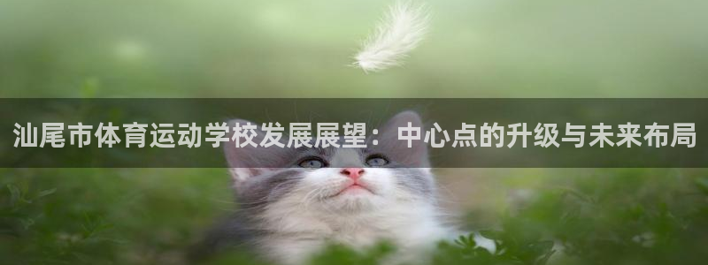 凯发官方正版app娱乐下载：汕尾市体育运动学校发展展望：中心
