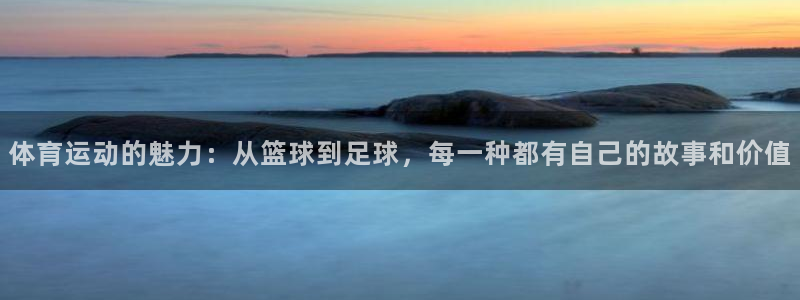 凯发官方正版app集团：体育运动的魅力：从篮球到足球，每一种