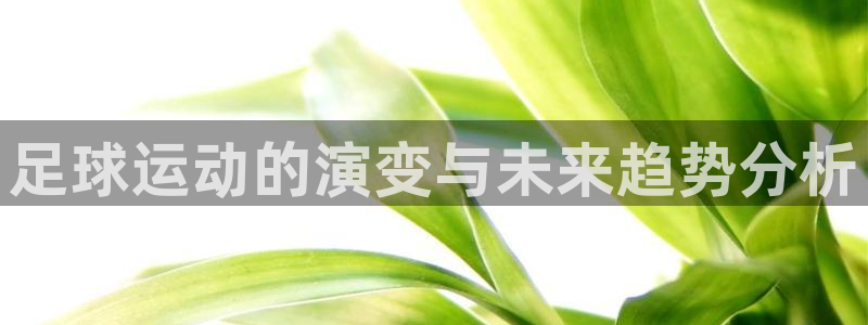 注册凯发官方正版app：足球运动的演变与未来趋势分析