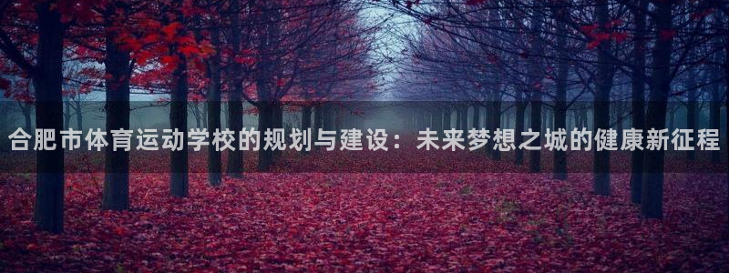 凯发官方正版app开户：合肥市体育运动学校的规划与建