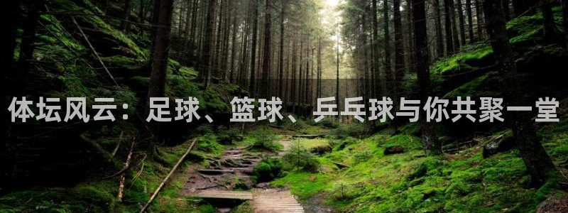 凯发官方正版app五金厂：体坛风云：足球、篮球、乒乓球与你共