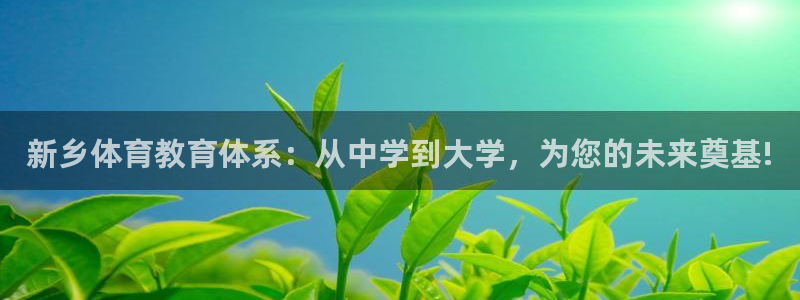 凯发官方正版app娱乐：新乡体育教育体系：从中学到大学，为您