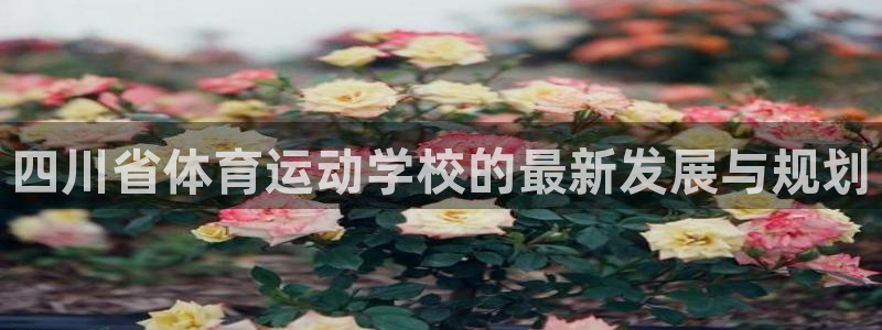 凯发官方正版app娱乐：四川省体育运动学校的最新发展