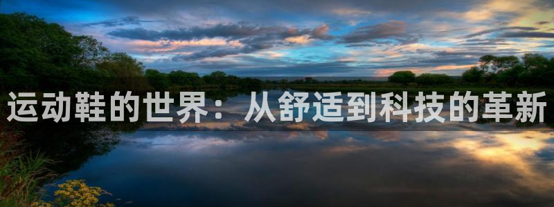 凯发官方正版app集团简介：运动鞋的世界：从舒适到科技的革新