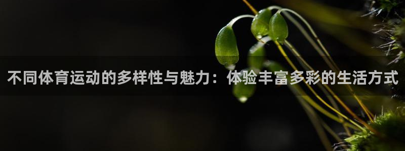 凯发官网下载平台假的吗是真的吗吗：不同体育运动的多样