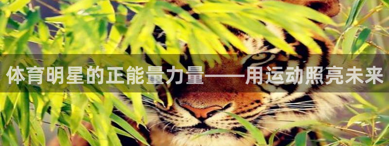 凯发官网下载招商电话是多少啊：体育明星的正能量力量——用运动