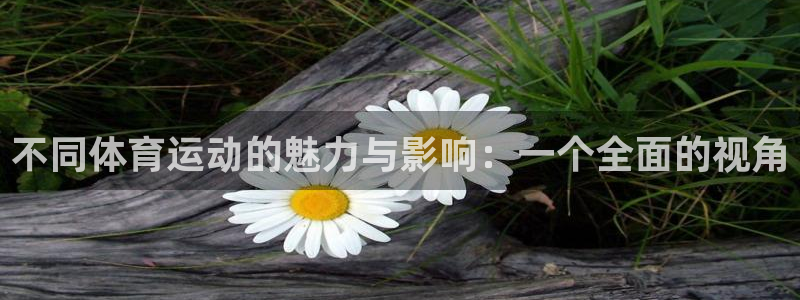 凯发官网下载招商：不同体育运动的魅力与影响：一个全面的视角