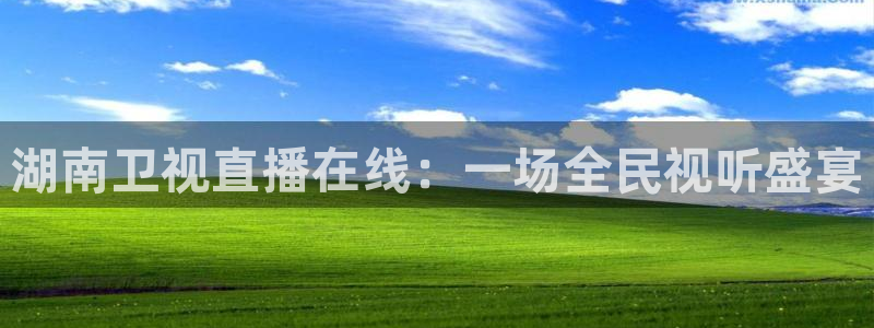 龙门飞甲粤语在线看：湖南卫视直播在线：一场全民视听盛宴